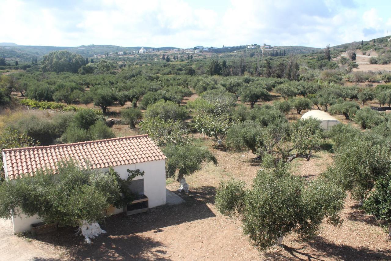 Theofilos Appartements Livadi  Exterior foto